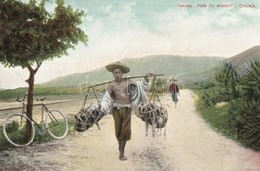 ** T2 Chinese Folklore. Taking Pigs To Market, Bicycle - Non Classificati