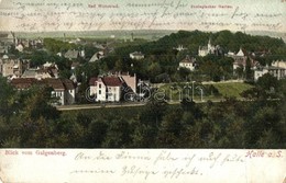 T4 Halle An Der Saale, Blick Vom Galgenberg. Bad Wittekind, Zoologischer Garten. Hans Luckow / Spa, Zoological Garden (E - Non Classificati