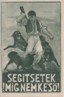 ** T1/T2 Segítsetek Míg Nem Késő! Kiadja Magyarország Területi Épségének Védelmi Ligája / Irredenta S: Krémer Amália - Non Classificati