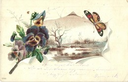 T2/T3 Landscape With Butterflies And Violets. Decorated Litho (EK) - Non Classificati