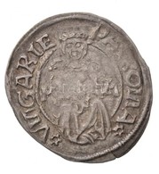 1526K-A Denár Ag 'II. Lajos' (0,58g) T:2
Hungary 1526K-A Denar Ag 'Louis II' (0,58g) C:XF
Huszár: 841., Unger I.: 673.n - Non Classificati