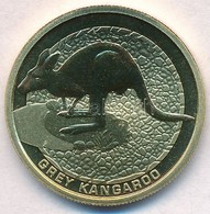 Ausztrália 2008. 1$ Al-Br 'Szürke óriáskenguru' T:BU
Australia 2008. 1 Dollar Al-Br 'Grey Kangaroo' C:BU
Krause KM#1171 - Non Classificati