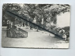 CPSM - La Côte D'Opale - Berck Plage -(P.-de-C.) - Le Jardin - Berck