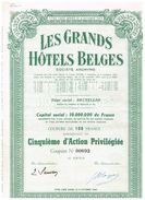 Action Ancienne - Les Grands Hôtels Belges - - Tourismus