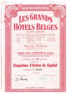 Action Ancienne - Les Grands Hôtels Belges - - Toerisme