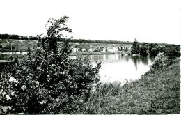 Delcampe - N°59978 -cpsm Le Pecq -bord De Seine- - Le Pecq