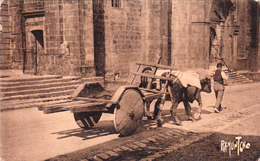 CPSM (64) URRUGNE Attelage De Boeufs Passant Devant L' Eglise Vache Bovin Bovidé Paysan Type N° 12032 - Urrugne