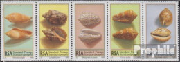 Südafrika 979-983 Fünferstreifen (kompl.Ausg.) Postfrisch 1995 Meeresschneckengehäuse - Unused Stamps