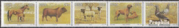 Südafrika 813-817 Fünferstreifen (kompl.Ausg.) Postfrisch 1991 Tierzucht - Unused Stamps