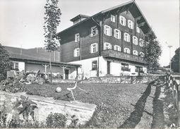 Stels Ob Schiers - Schulungs- Und Erholungsheim Hof De Planis                Ca. 1960 - Schiers