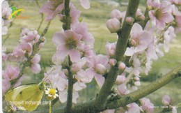 Bhutan, Nu.500 Flowers And Butterfly. - Bhoutan