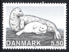 DENMARK 2005 Seals DKK5.50: Single Stamp UM/MNH - Unused Stamps