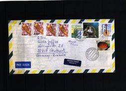 Brazil 2004 Interesting Letter - Covers & Documents