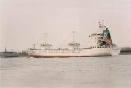 " CAP FINISTERRE Limassol " ** Lot Of/de 2 ** PORTE CONTAINER - CARRIER DOOR - PHOTO 1980-2001 Cargo Commerce - Commercio