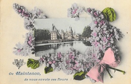 De Maintenon, Je Vous Envoie Ces Fleurs - Chateau, Lilas - Carte ND Phot - Souvenir De...