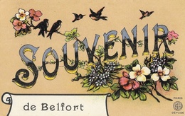 Souvenir De Belfort - Fleurs, Oiseaux - Carte GH Non Circulée - Souvenir De...