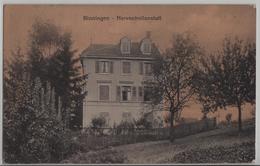 Binningen - Nervenheilanstalt - Photo: Guggenheim - Binningen