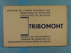 Carnet 12 CPA Tribomont Domaine De L'Union Nationale Des Fédérations Des Mutualités Socialistes De Belgique - Pepinster