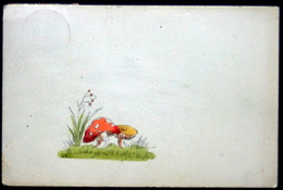 Denmark  Cards  1939  Mushrooms / Pilze / Champignons / Hongos    ( Lot 2649 ) - Champignons