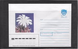 Cactus - Document - Lettre - Oblitération - Cactussen