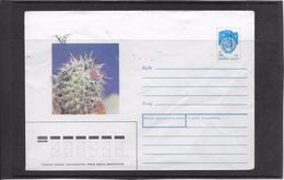 Cactus - Document - Lettre - Oblitération - Cactus