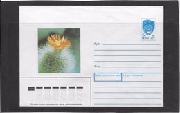 Cactus - Document - Lettre - Oblitération - Cactus