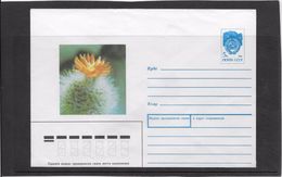 Cactus - Document - Lettre - Oblitération - Cactusses