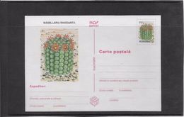 Cactus - Document - Lettre - Oblitération - Cactusses