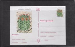 Cactus - Document - Lettre - Oblitération - Cactus