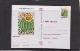 Cactus - Document - Lettre - Oblitération - Cactusses