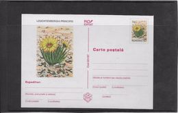 Cactus - Document - Lettre - Oblitération - Cactussen