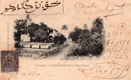 GUINEE CONAKRY CAMAYENNE LE JARDIN D' ESSAI CARTE PRECURSEUR TIMBREE - Guinée Française