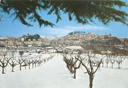 03/FG/17 - ASCOLI - AMANDOLA: Panorama Invernale - Ascoli Piceno
