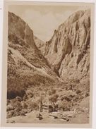 ROUMANIE,ROMANIA,ROMANA,RUMANIA,CHEILE TURZII,CARTE PHOTO - Roumanie