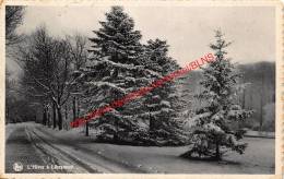 L'Hiver - Libramont-Chevigny - Libramont-Chevigny