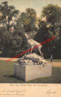 Cerf Aux Abois Parc De Tervueren - 1905 - Tervuren Tervueren - Tervuren