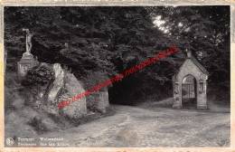 Wolvenstraat - Rue Aux Loups - Tervuren Tervueren - Tervuren