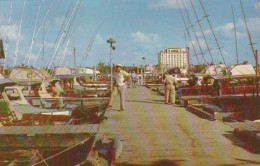 Florida West Palm Beach Marina - West Palm Beach