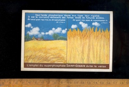 Publicité Superphosphate De Chaux  SAINT ST GOBAIN Acide Phosphorique Agricole Agriculture Culture Du Blé - Reclame