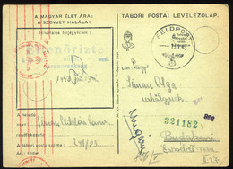 II. VH . 1943. Tábori Posta Levlap, Német Tábori Postával Budakeszire Küldve  /  WW II. 1943 APO P.card Via German - Covers & Documents