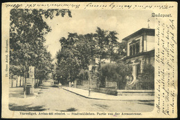 VÁROSLIGET 1901. Aréna úti Részlet , Régi Ganz Képeslap  /  CITY PARK 1901 Aréna Rd. Detail, Ganz Vintage Picture  - Hungary