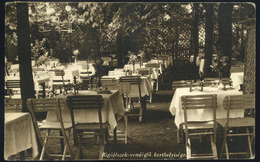 BUDAPEST XI. Rigófészek, Vendéglő, Halászkert, Régi Képeslap  /  BUDAPEST XI. Rigófészek Restaurant Vintage Pictur - Hongarije