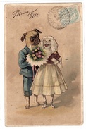 COUPLE DE CHIENS HABILLÉS - Dressed Animals