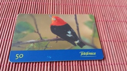 Phonecard Bird - Pájaros Cantores (Passeri)