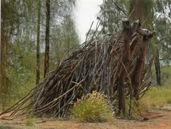 Australien: Native Aboriginal Dwelling/ Natürlicher Sonnenschutz Der Australischen Ureinwohner - Sin Clasificación