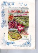 49- ANGERS-RARE CATALOGUE FOCQUEREAU LENFANT BOYER- ARCHITECTE PAYSAGISTE-HORTICULTURE PEPINIERES-25 RUE ST LEONARD-1910 - Agricoltura