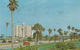 67894- CLEARWATER- THE CAUSEWAY, ROAD, CARS - Clearwater