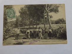 C.P.A. CHLEF : ORLEANSVILLE : Tirailleurs à La Pépinière, Animé, Timbre 1907 - Chlef (Orléansville)