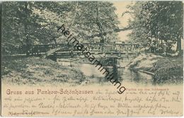 Pankow-Schönhausen - Schlosspark - Pankow