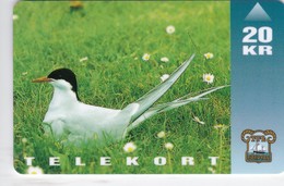 Faroe Islands, OD-006, Arctic Tern, Birds, Mint Only 15.000 Issued, 2 Scans. - Isole Faroe